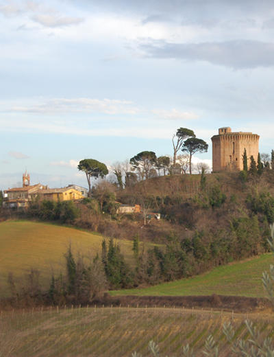 Agriturismo Morattina Castrocaro Terme Bagian luar foto