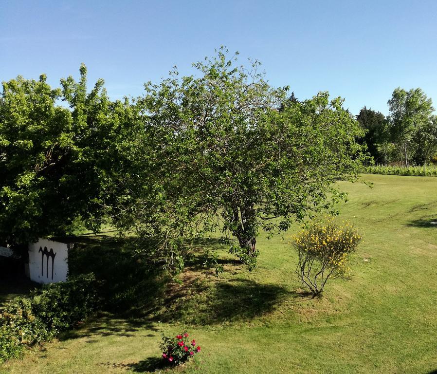 Agriturismo Morattina Castrocaro Terme Bagian luar foto